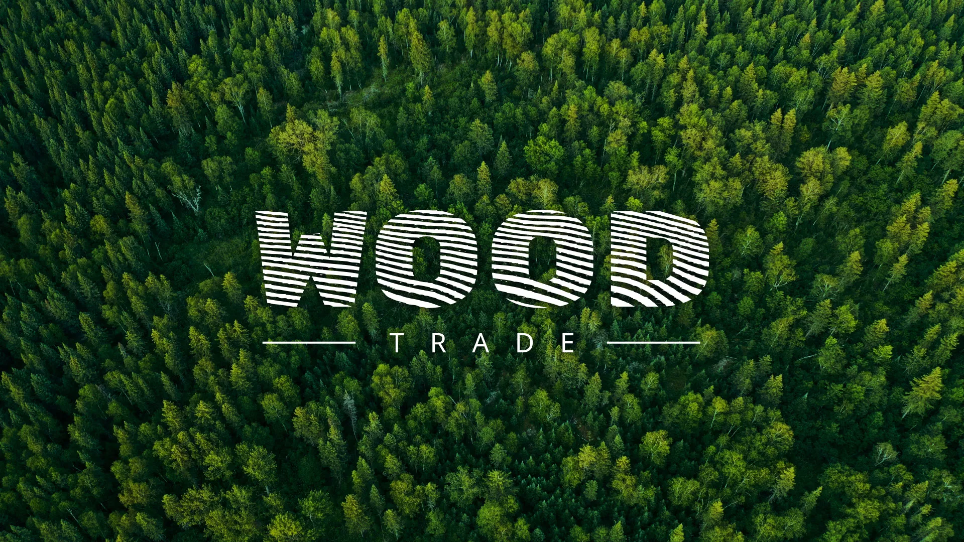 Разработка интернет-магазина компании «Wood Trade» в Приволжске