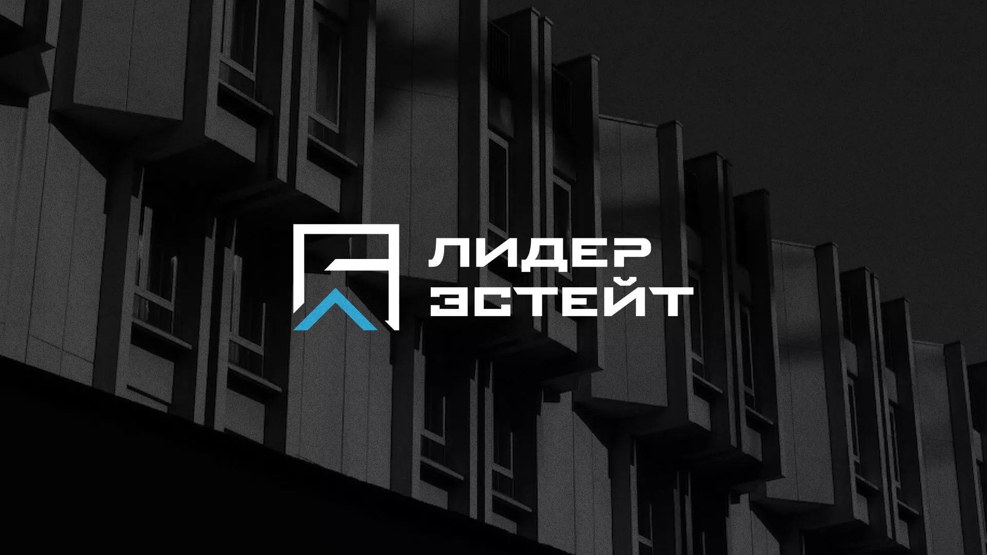Разработка логотипа агентства недвижимости «Лидер Эстейт» в Приволжске
